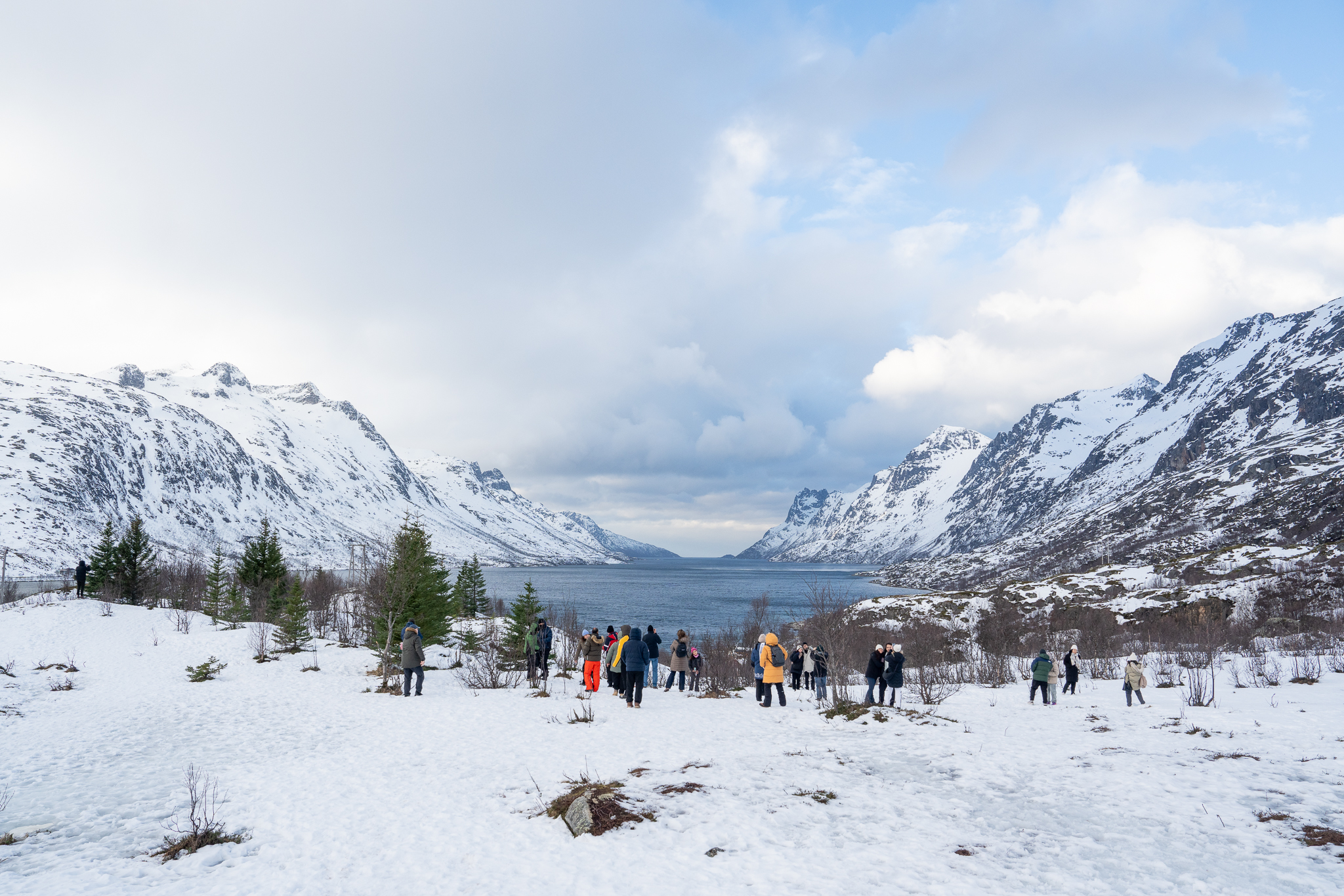  Winter in Norway 2026 – Tiewleak Motiv 